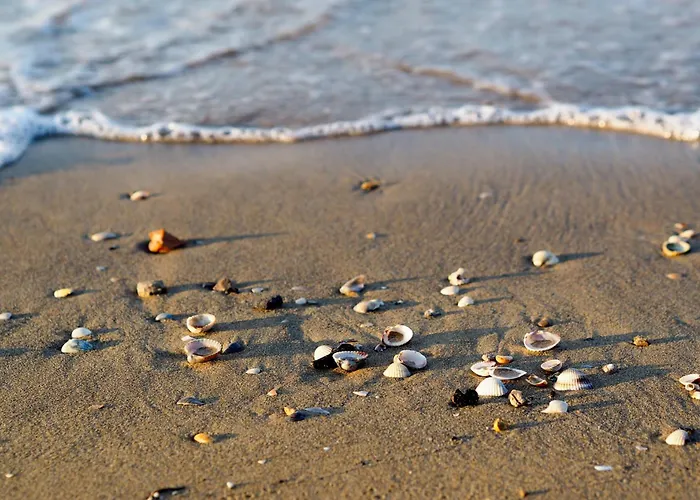 One-bedroom Near River 8 * ビビオーネ